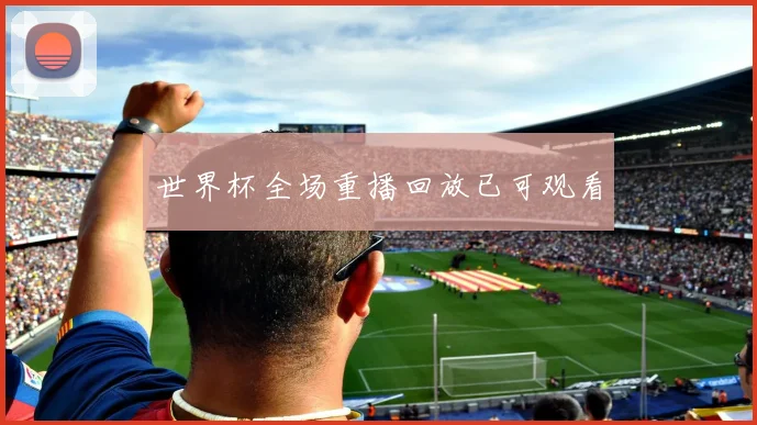 世界杯全场重播回放已可观看