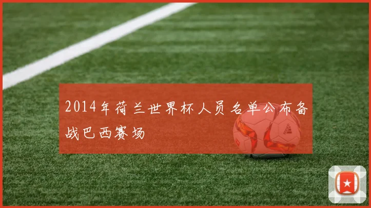 2014年荷兰世界杯人员名单公布备战巴西赛场